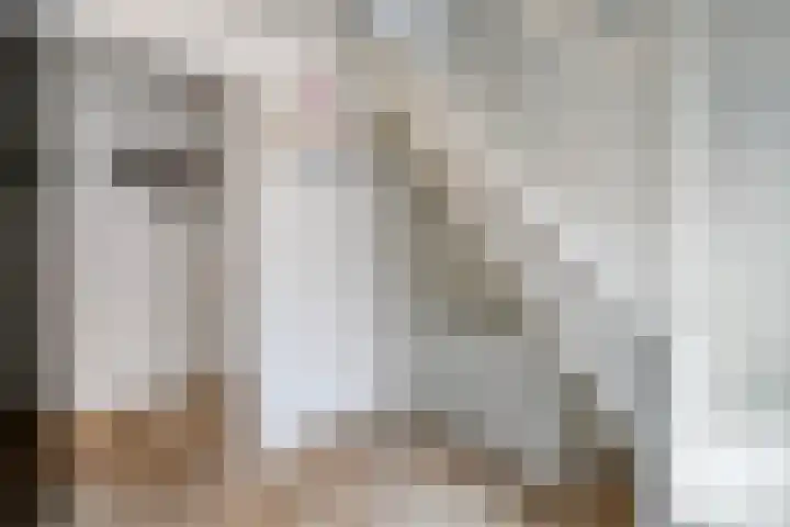 's-Gravenstraat 151 Clinge thumbnail 10
