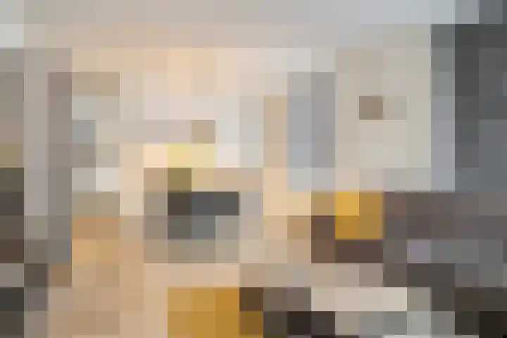 's-Gravenstraat 151 Clinge thumbnail 14