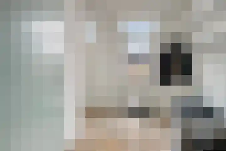 's-Gravenstraat 151 Clinge thumbnail 20