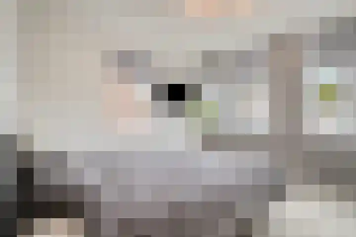 's-Gravenstraat 151 Clinge thumbnail 23