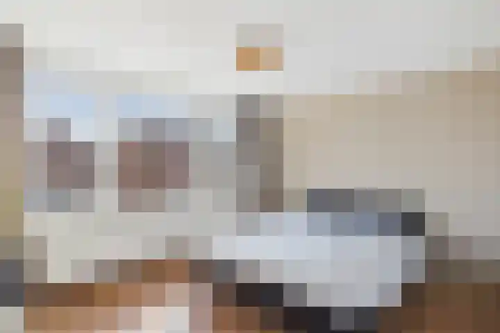 's-Gravenstraat 242 Clinge thumbnail 24
