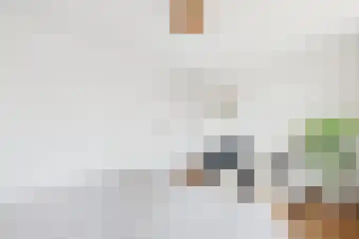 's-Gravenstraat 242 Clinge thumbnail 25