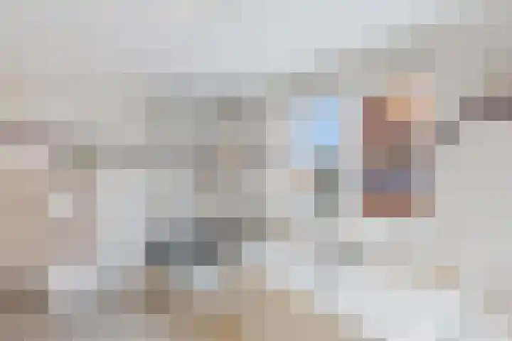 's-Gravenstraat 242 Clinge thumbnail 29