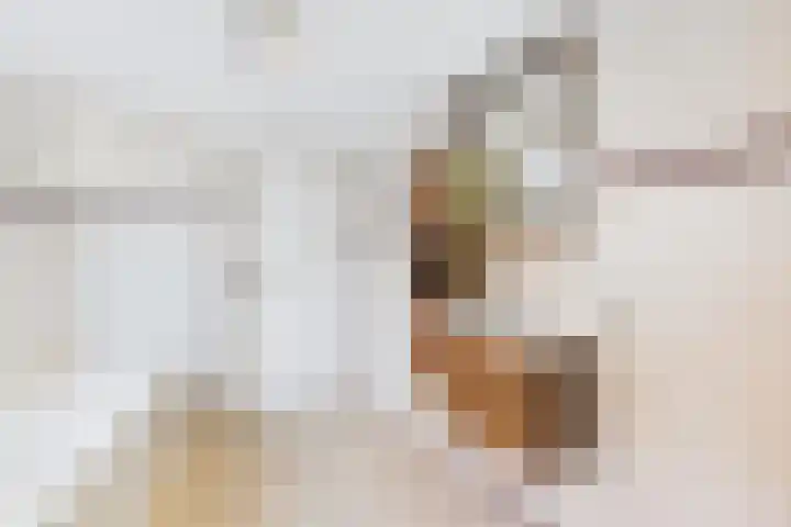 's-Gravenstraat 242 Clinge thumbnail 30