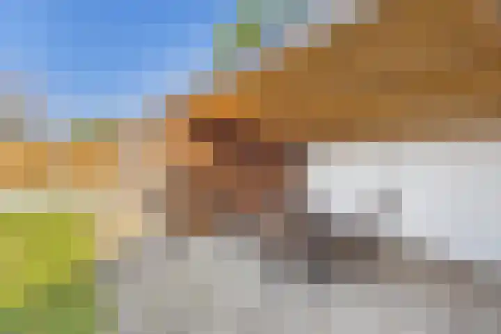 's-Gravenstraat 242 Clinge thumbnail 34
