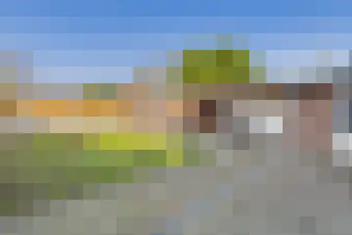 's-Gravenstraat 242 Clinge thumbnail 5
