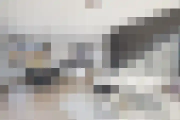 's-Gravenstraat 242 Clinge thumbnail 9