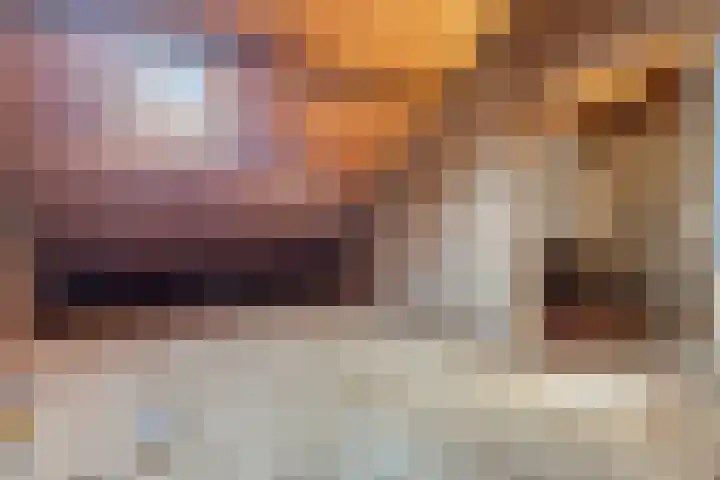 's-Gravenstraat 292 Clinge thumbnail 29