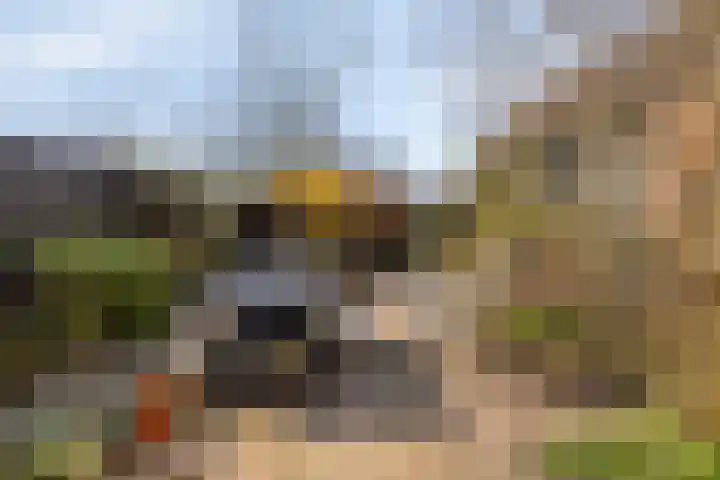 's-Gravenstraat 292 Clinge thumbnail 30