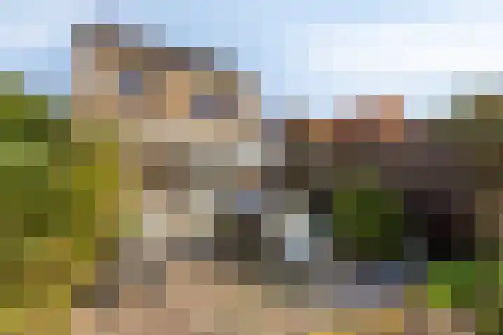 's-Gravenstraat 292 Clinge thumbnail 31