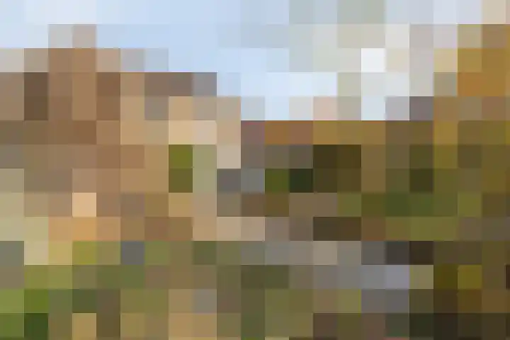 's-Gravenstraat 292 Clinge thumbnail 33