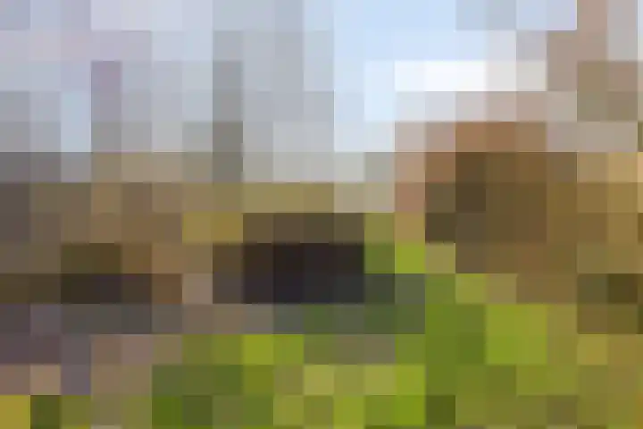 's-Gravenstraat 292 Clinge thumbnail 34