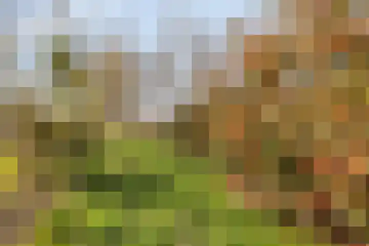 's-Gravenstraat 292 Clinge thumbnail 35