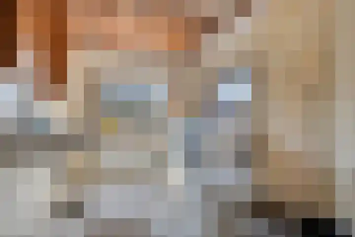 's-Gravenstraat 292 Clinge thumbnail 4
