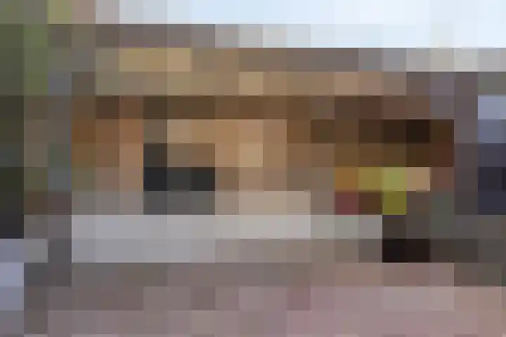 's-Gravenstraat 35 's-Gravenpolder thumbnail 4