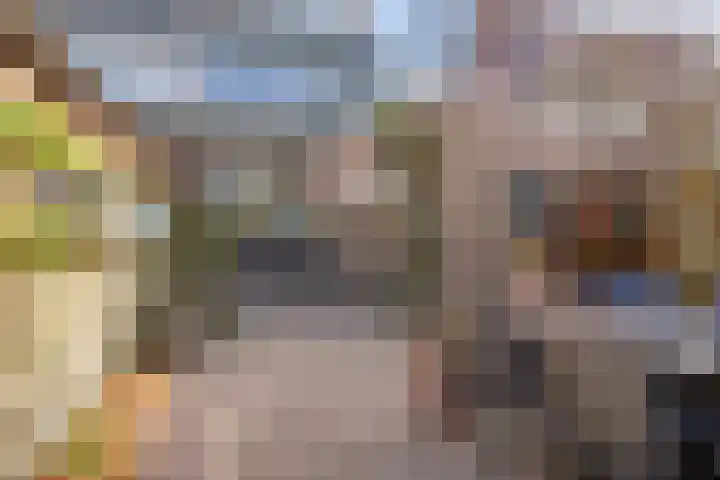 's-Gravenstraat 35 's-Gravenpolder thumbnail 50
