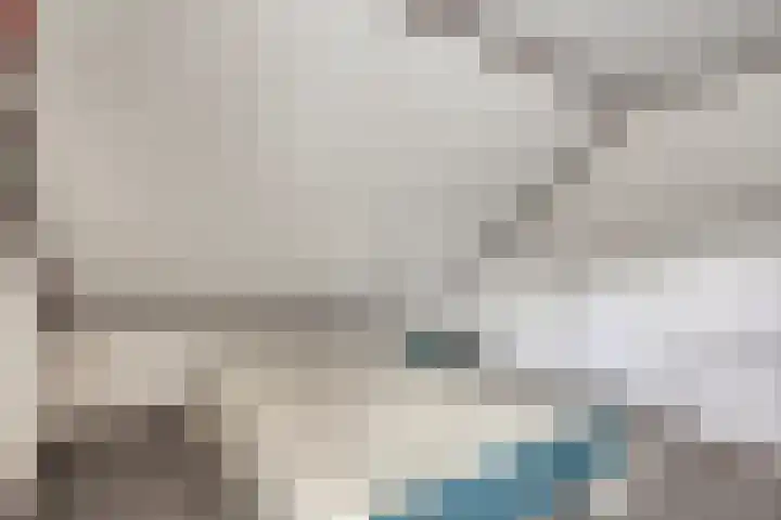 's-Gravenstraat 40 Clinge thumbnail 18