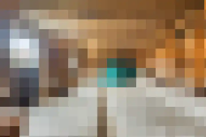 's-Gravenstraat 40 Clinge thumbnail 25