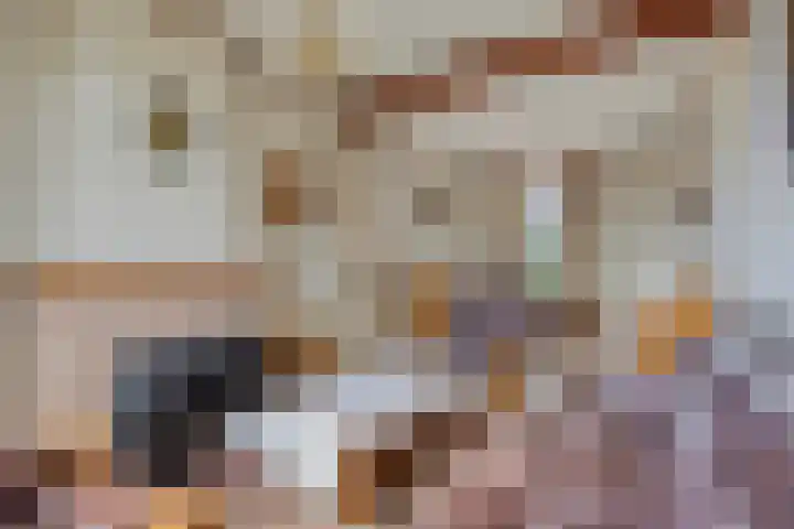 's-Gravenstraat 40 Clinge thumbnail 4