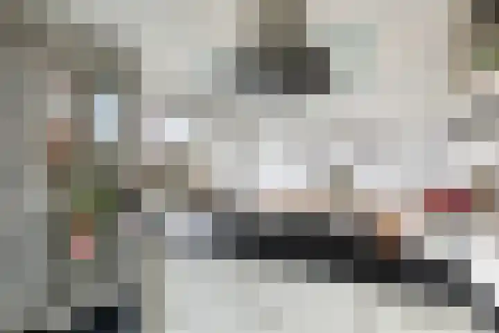 's-Lands werf 228 Rotterdam thumbnail 22