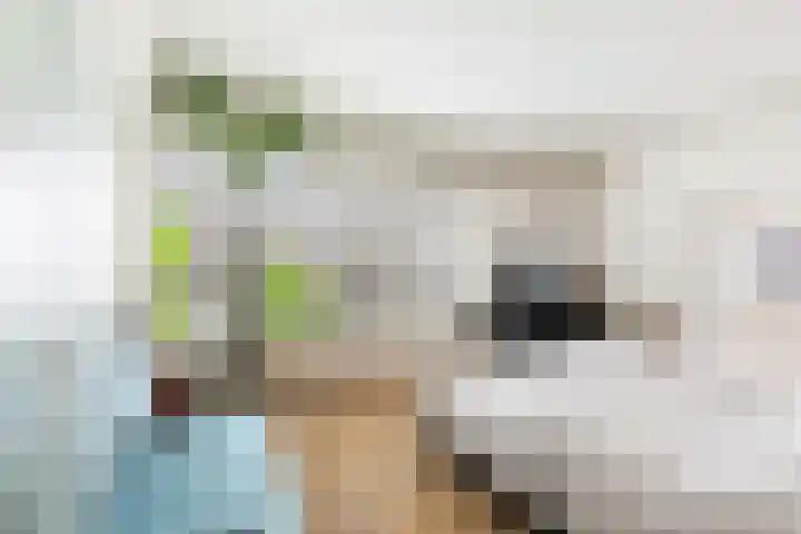's-Lands werf 228 Rotterdam thumbnail 34