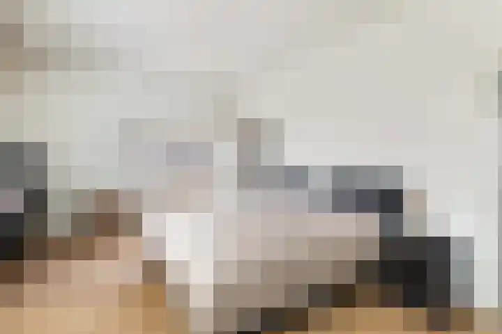 's-Lands werf 228 Rotterdam thumbnail 35