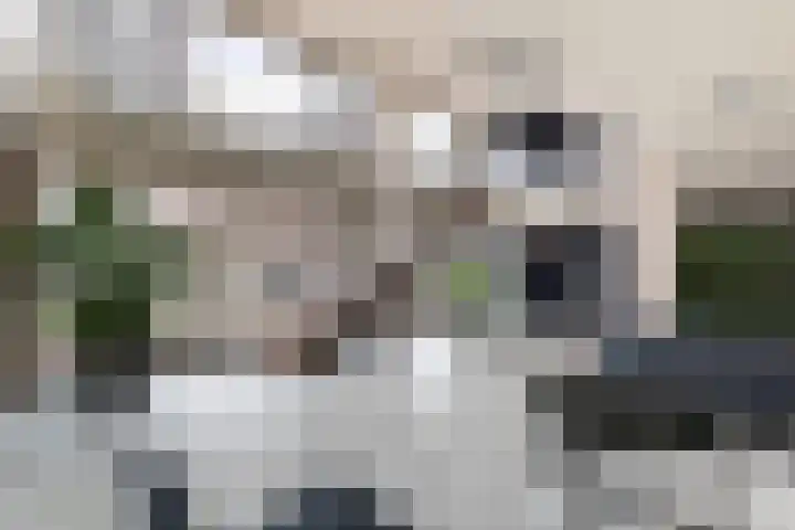 's-Lands werf 228 Rotterdam thumbnail 48