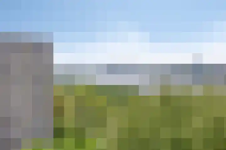 's-Lands werf 277 Rotterdam thumbnail 21