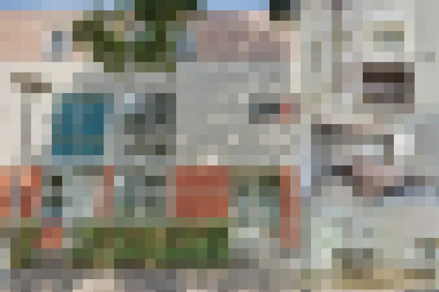 S.O.J. Palmelaan 153 en Groningen