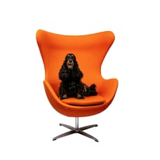 Foto van Saar van Bracht