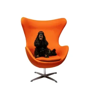 Foto van Saar van Bracht