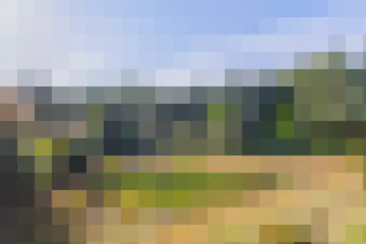 Saardijk 11 Sevenum thumbnail 25
