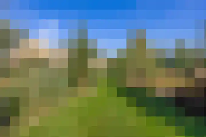Saardijk 11 Sevenum thumbnail 28