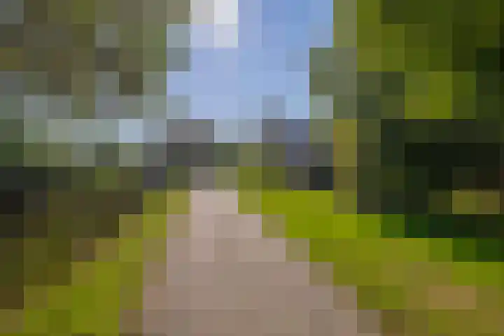 Saardijk 11 Sevenum thumbnail 39