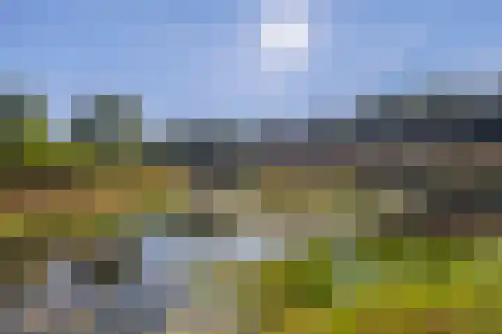 Saardijk 11 Sevenum thumbnail 5