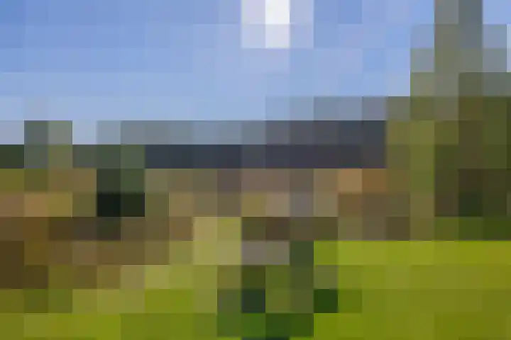 Saardijk 11 Sevenum thumbnail 7