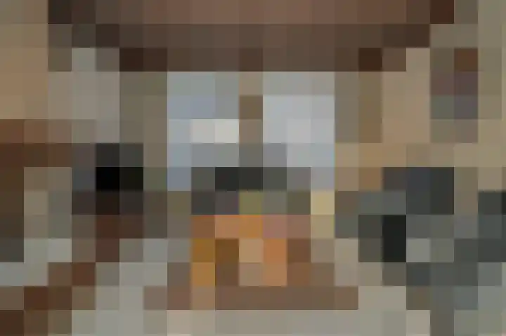 Saarskampen 22 Wamel thumbnail 10