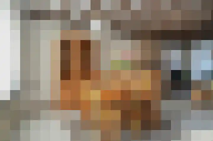 Saarskampen 22 Wamel thumbnail 14