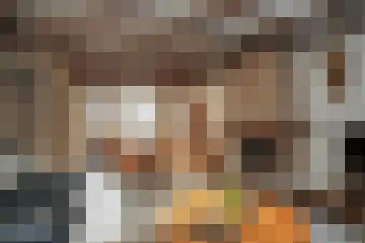 Saarskampen 22 Wamel thumbnail 5