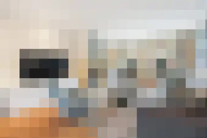 Saarskampen 24 Wamel thumbnail 13