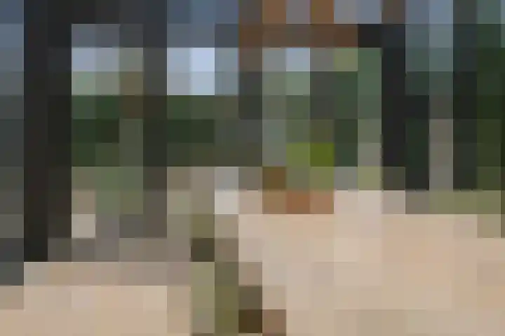 Saarskampen 24 Wamel thumbnail 20