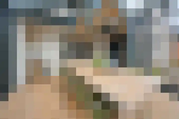 Saarskampen 24 Wamel thumbnail 22