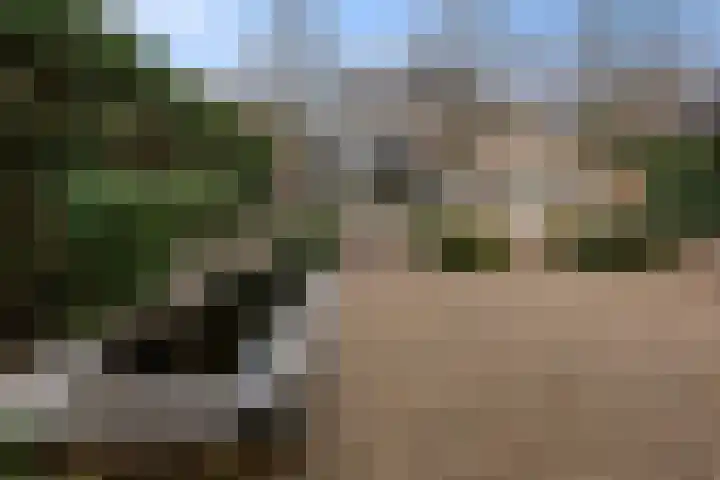 Saarskampen 24 Wamel thumbnail 56