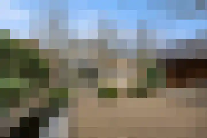 Saarskampen 24 Wamel thumbnail 57