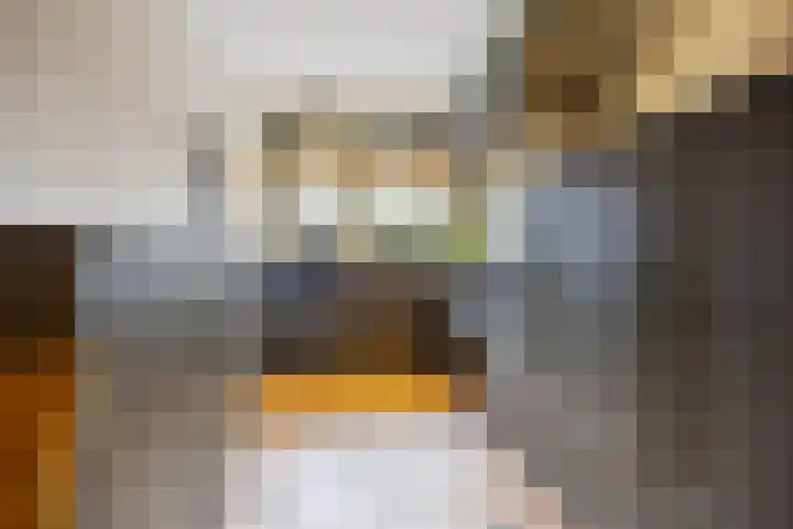 Saarskampen 24 Wamel thumbnail 6