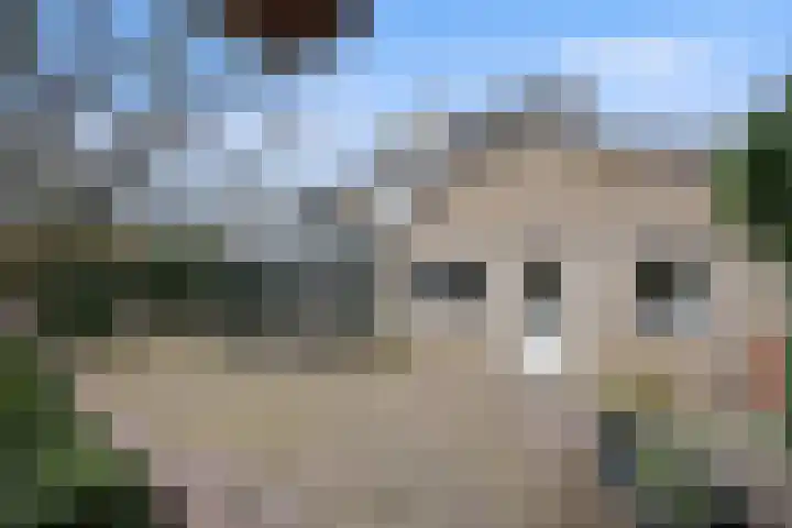 Saarskampen 24 Wamel thumbnail 60