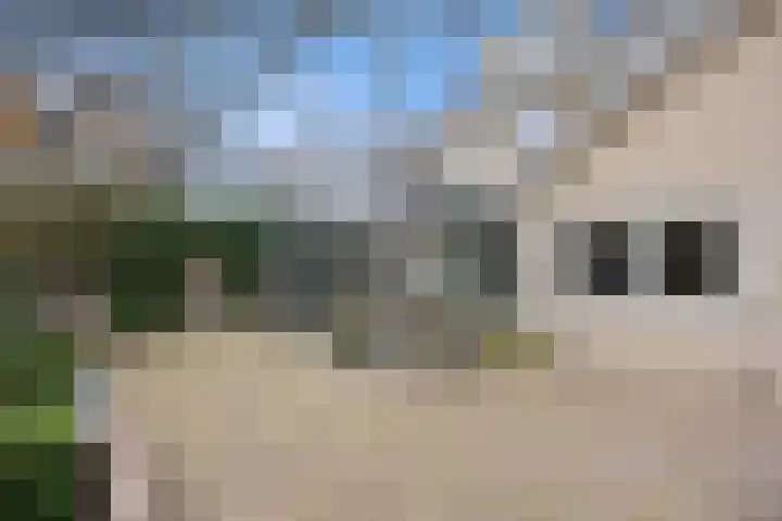 Saarskampen 24 Wamel thumbnail 61