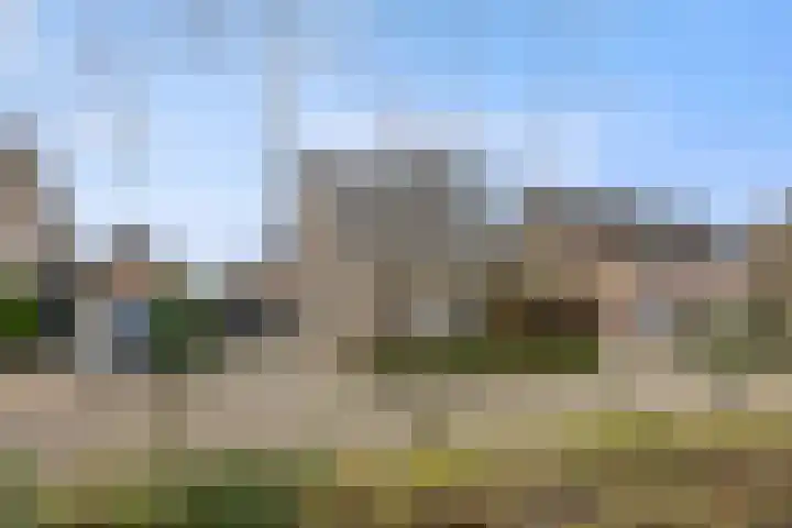 Saarskampen 24 Wamel thumbnail 64