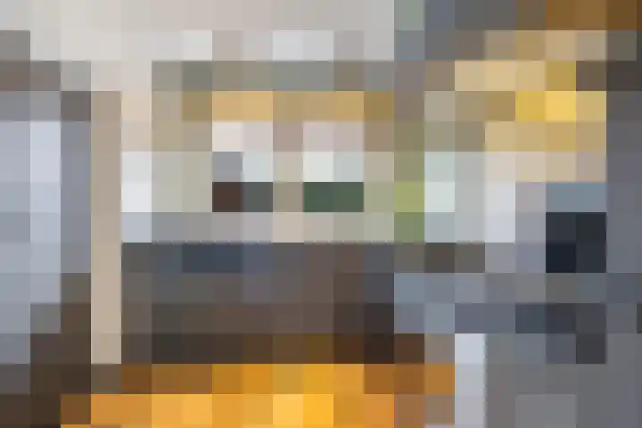 Saarskampen 24 Wamel thumbnail 7