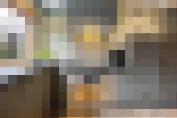 Saarskampen 24 Wamel thumbnail 8